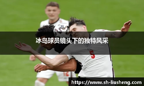 冰岛球员镜头下的独特风采